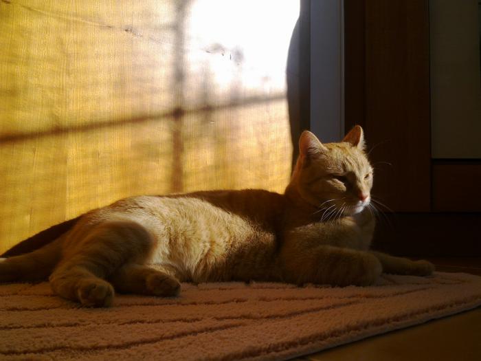 foto k příspěvku  od JP