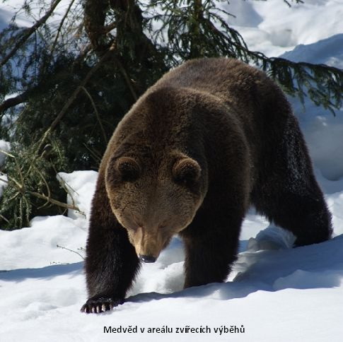 foto k příspěvku  od Crimson