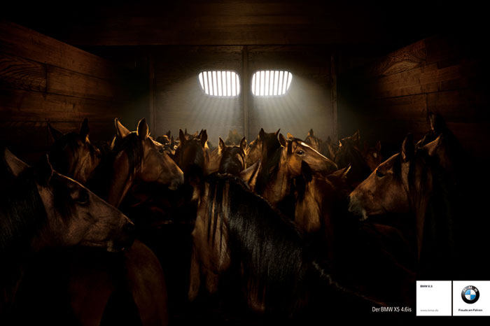 foto k příspěvku  od CervinVega