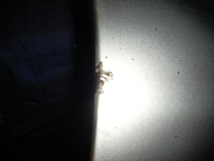 foto k příspěvku  od Seat Power