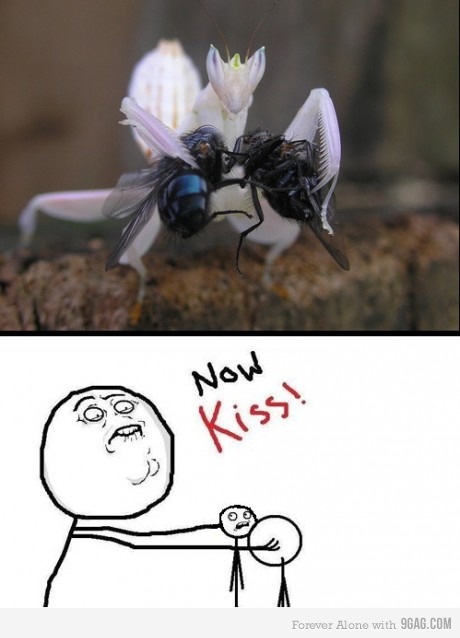 Jak víš, jestli chce připojit 9gag