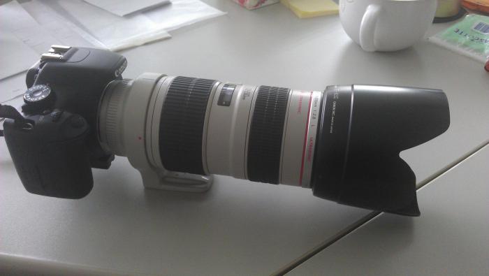 foto k příspěvku  od soray