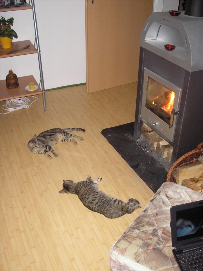 foto k příspěvku  od Only_One