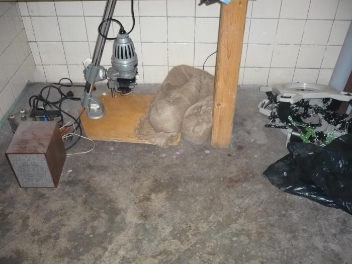 foto k příspěvku  od crestik