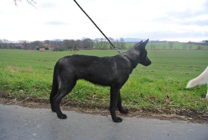 foto k příspěvku  od Kallin