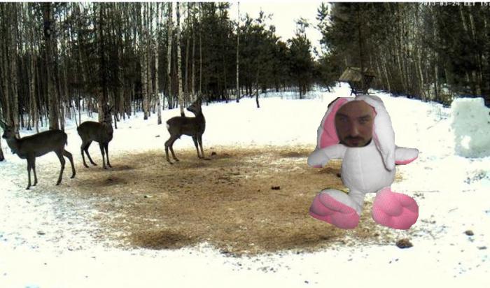 foto k příspěvku  od pepe689