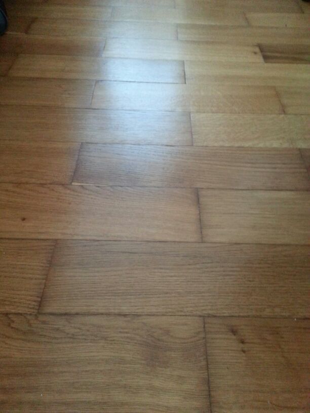 foto k příspěvku  od radaman