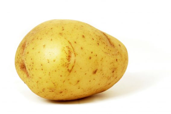 foto k příspěvku  od walish