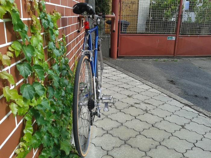 foto k příspěvku  od cupra.165