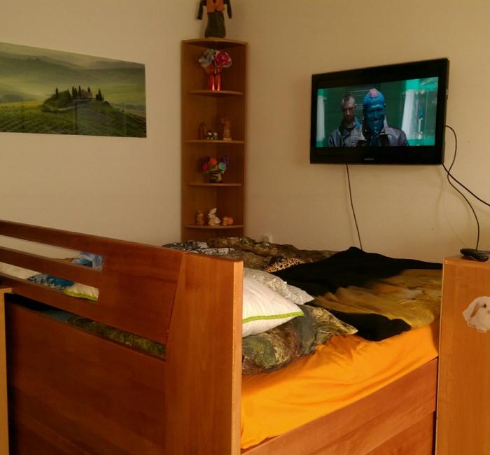 foto k příspěvku  od Paczqo
