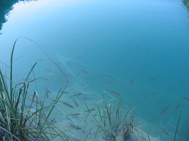 Chorvatsko 2006