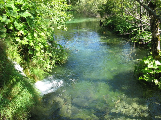 Chorvatsko 2006