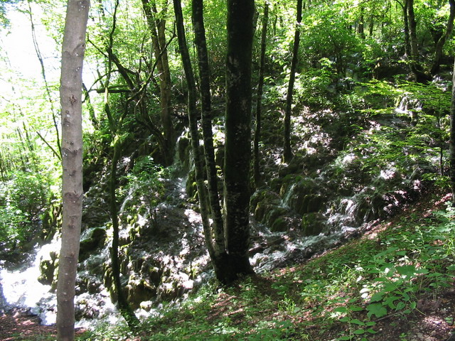 Chorvatsko 2006