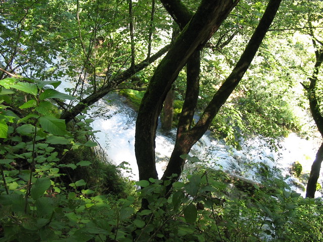 Chorvatsko 2006