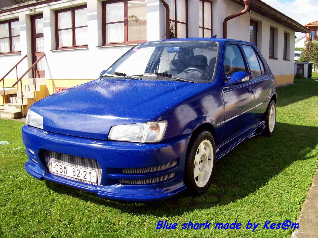 Moje fiesta