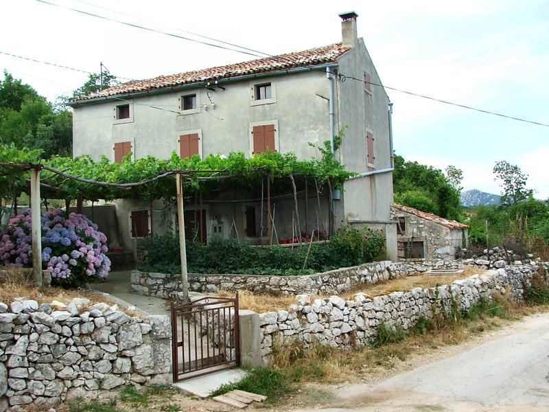 Ozzyho Rabac 2006